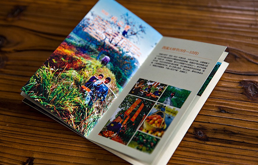 1596265048510425.jpg 4.jpg