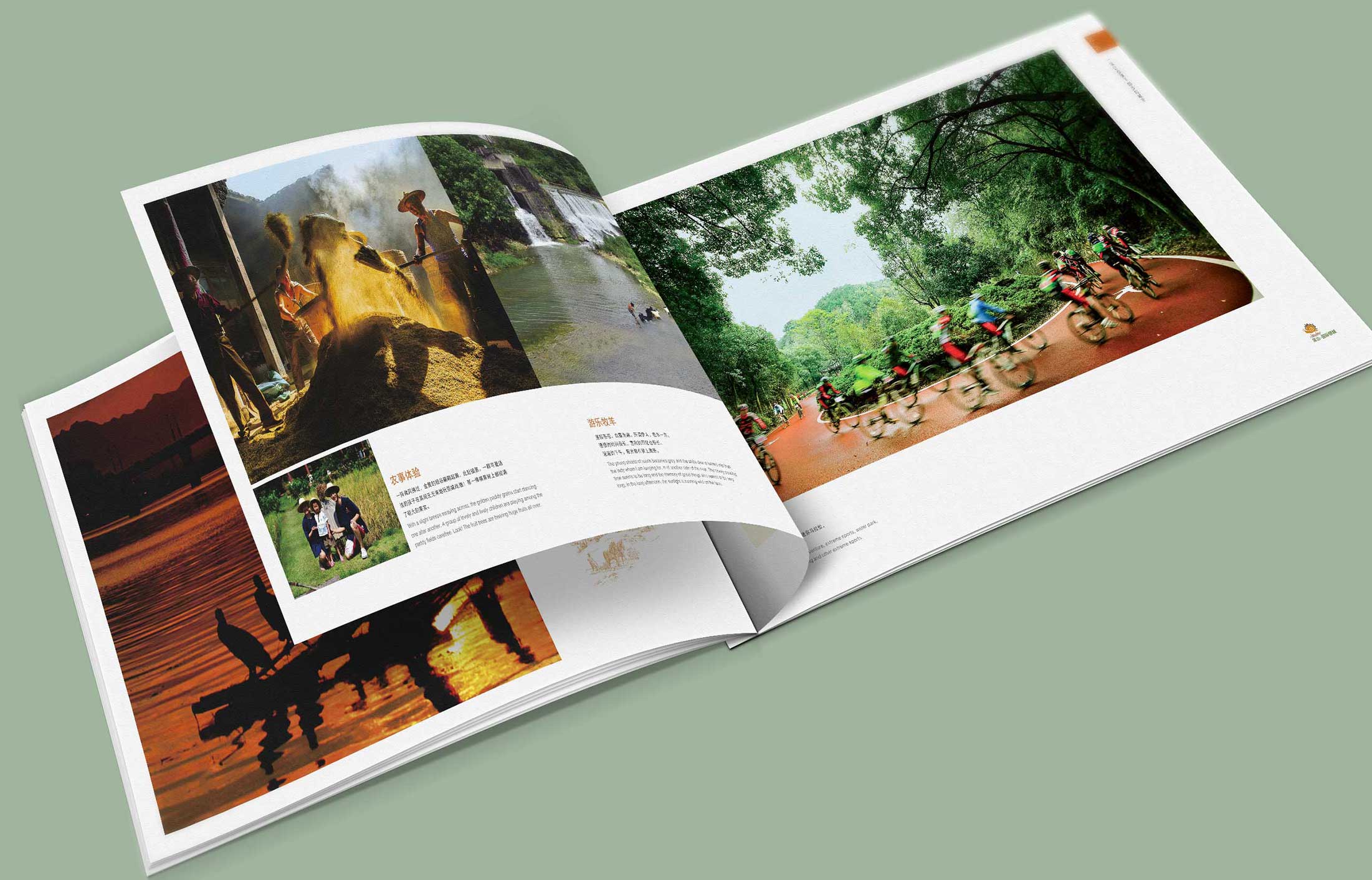 1596691876109506.jpg 4.jpg