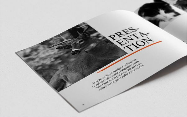 畫冊(cè)設(shè)計(jì)