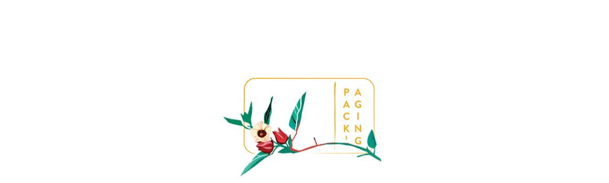 視覺與觸覺并存——花茶包裝設計