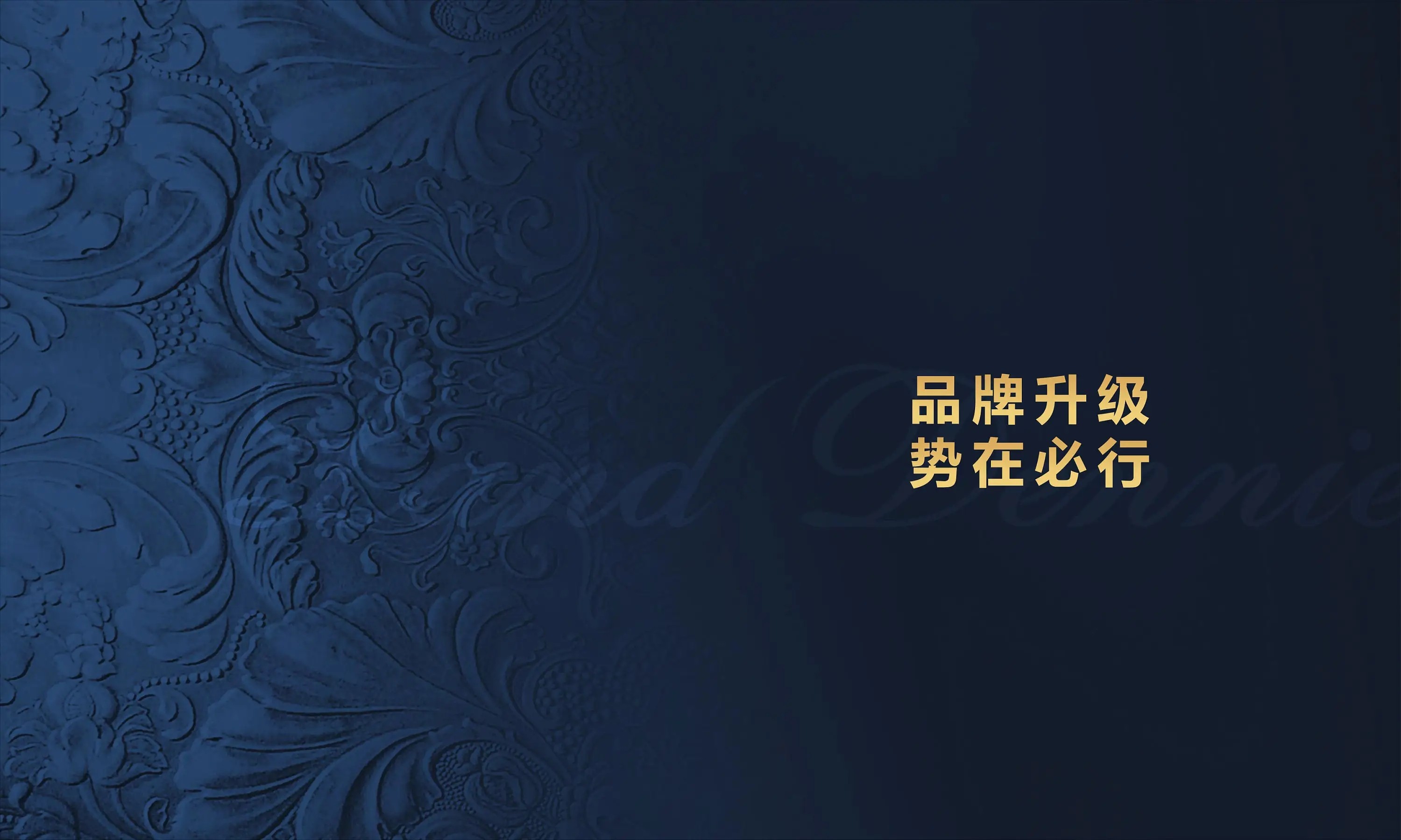 1660376431538428.jpg 品牌升級(jí).webp.jpg