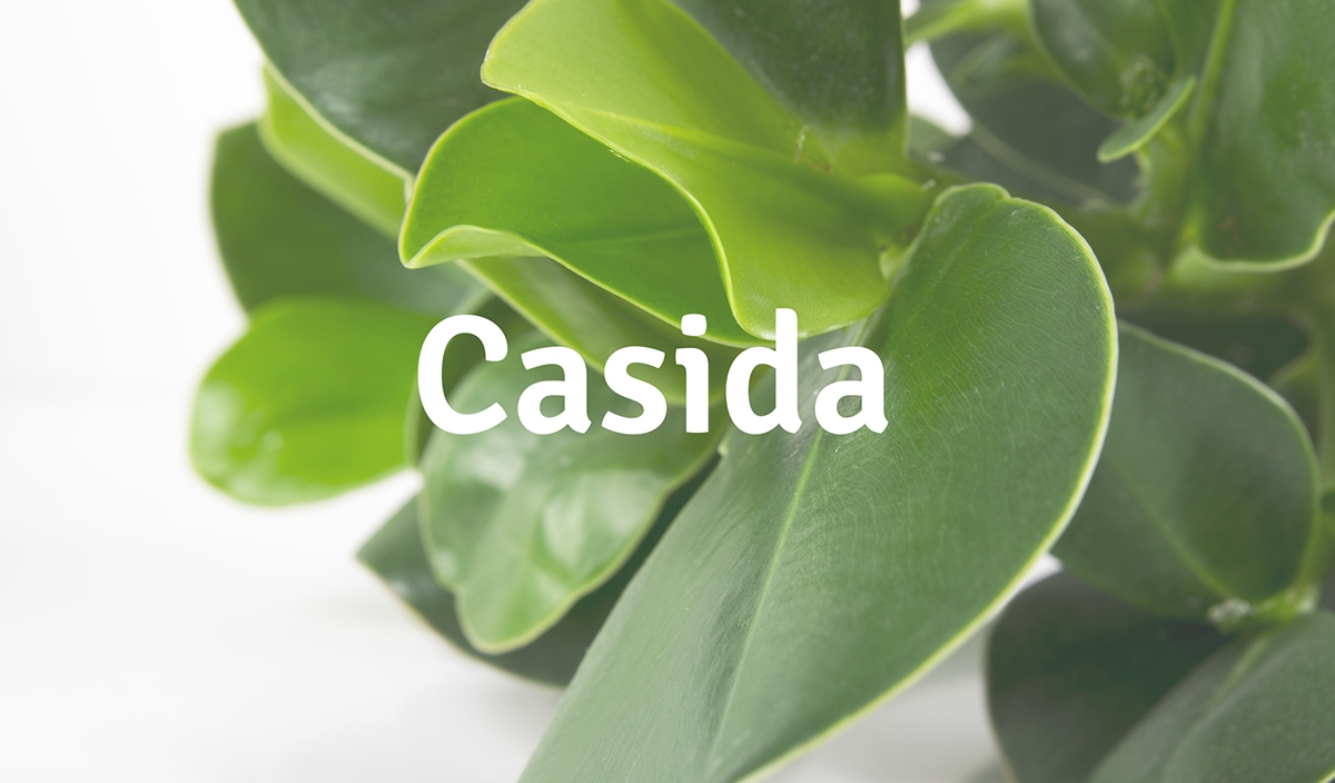 藥品包裝設(shè)計(jì) 藥品包裝設(shè)計(jì)